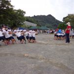 年長綱引き