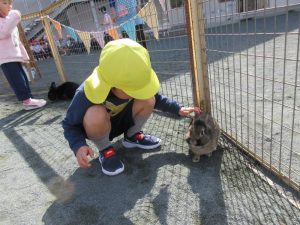 IMG_8134