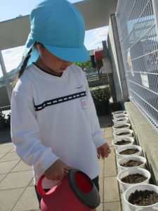 IMG_0891
