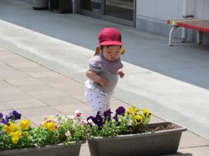 IMG_7842