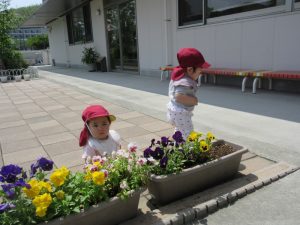IMG_7843