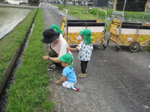 IMG_7979