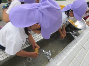 IMG_6687