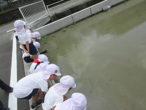 IMG_6727